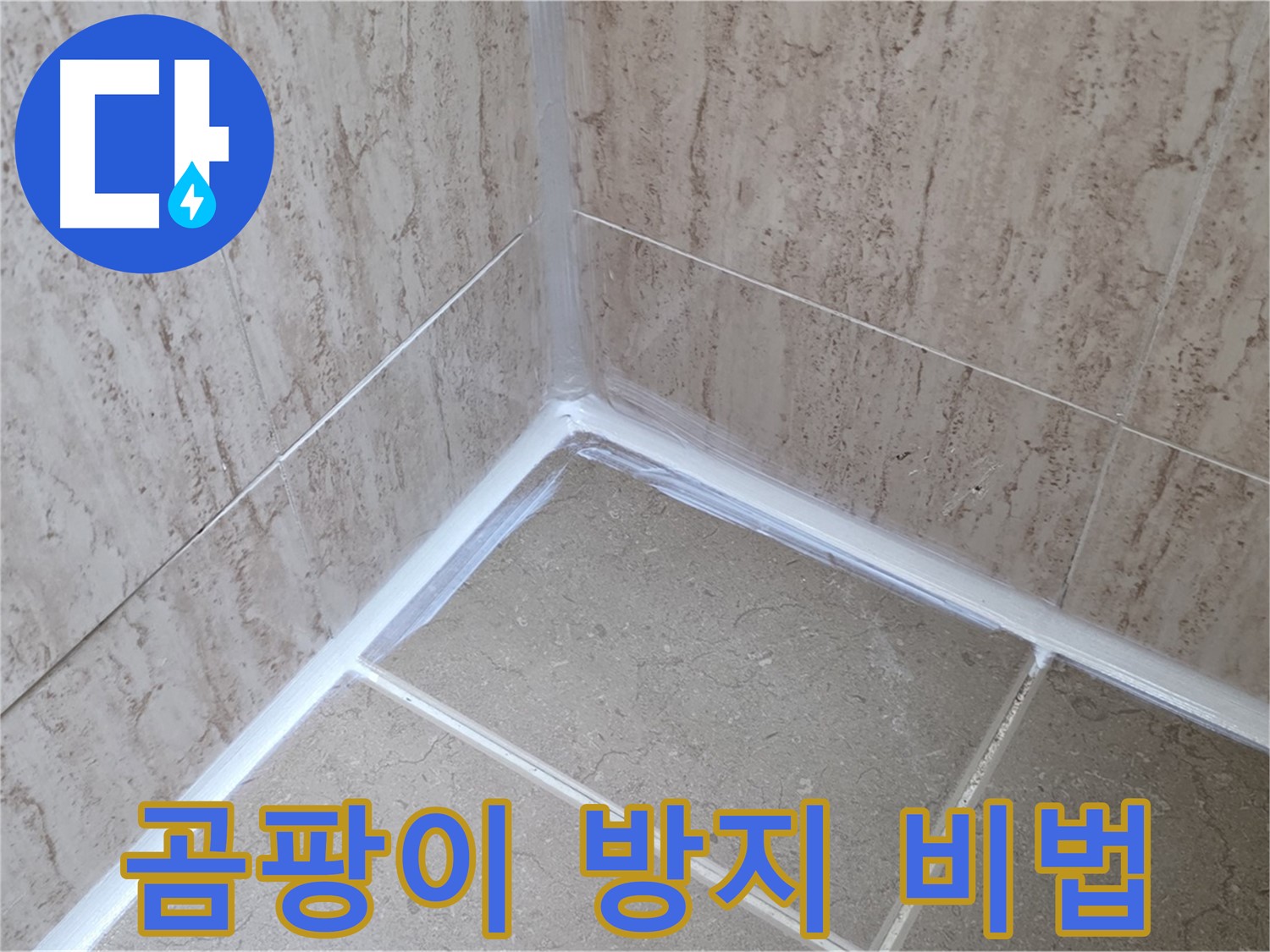 포천 일동 욕실 누수 - 실리콘 시공 후 곰팡이 방지, 전문가의 관리 비법 전수!