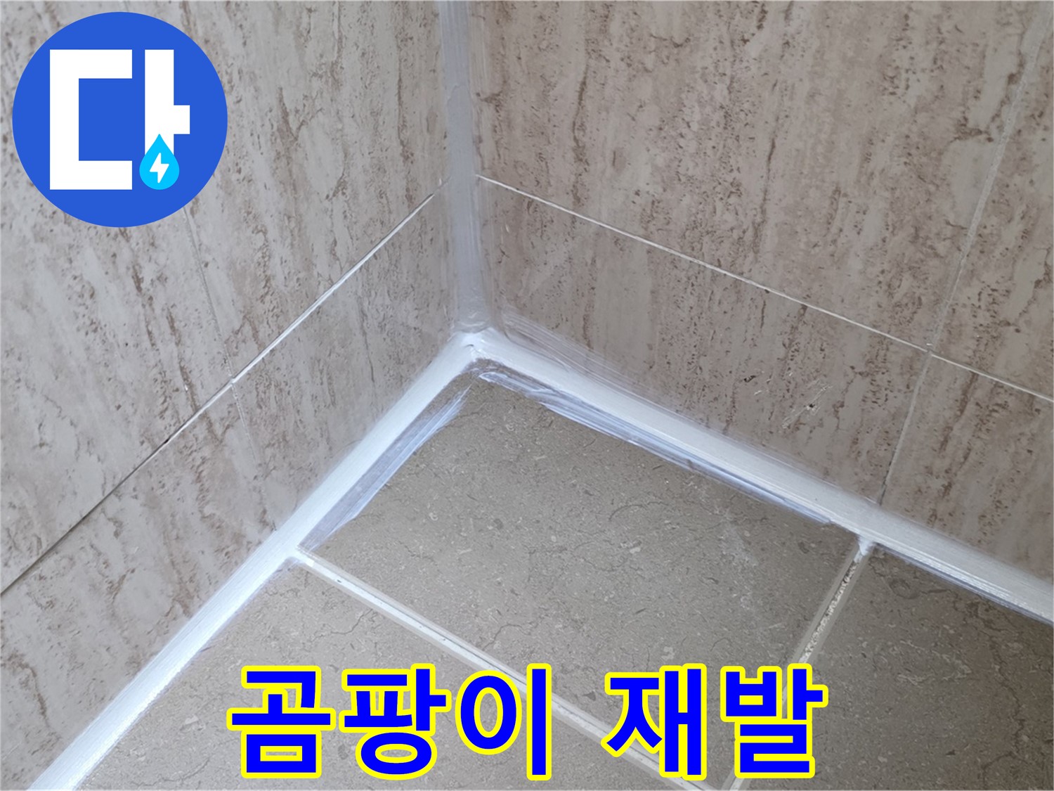 포천 일동 욕실 누수 - 실리콘 시공 후 곰팡이 재발 원인