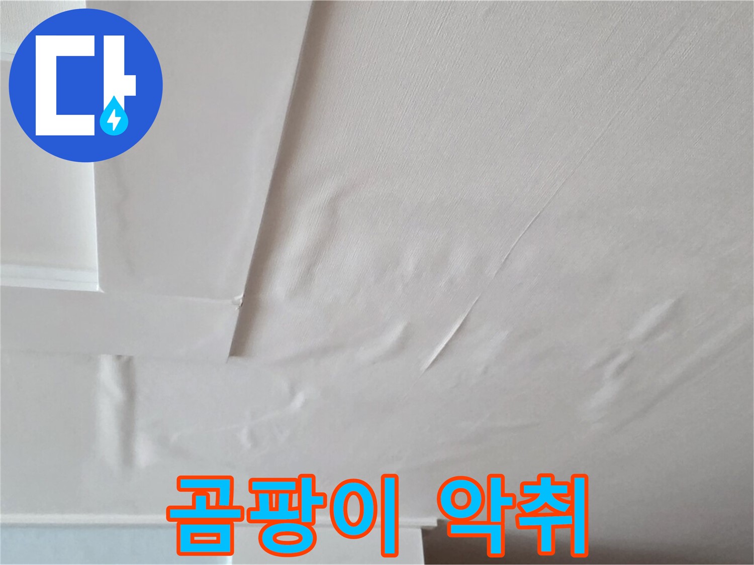 포천 일동 천장 누수 - 곰팡이와 악취 발생