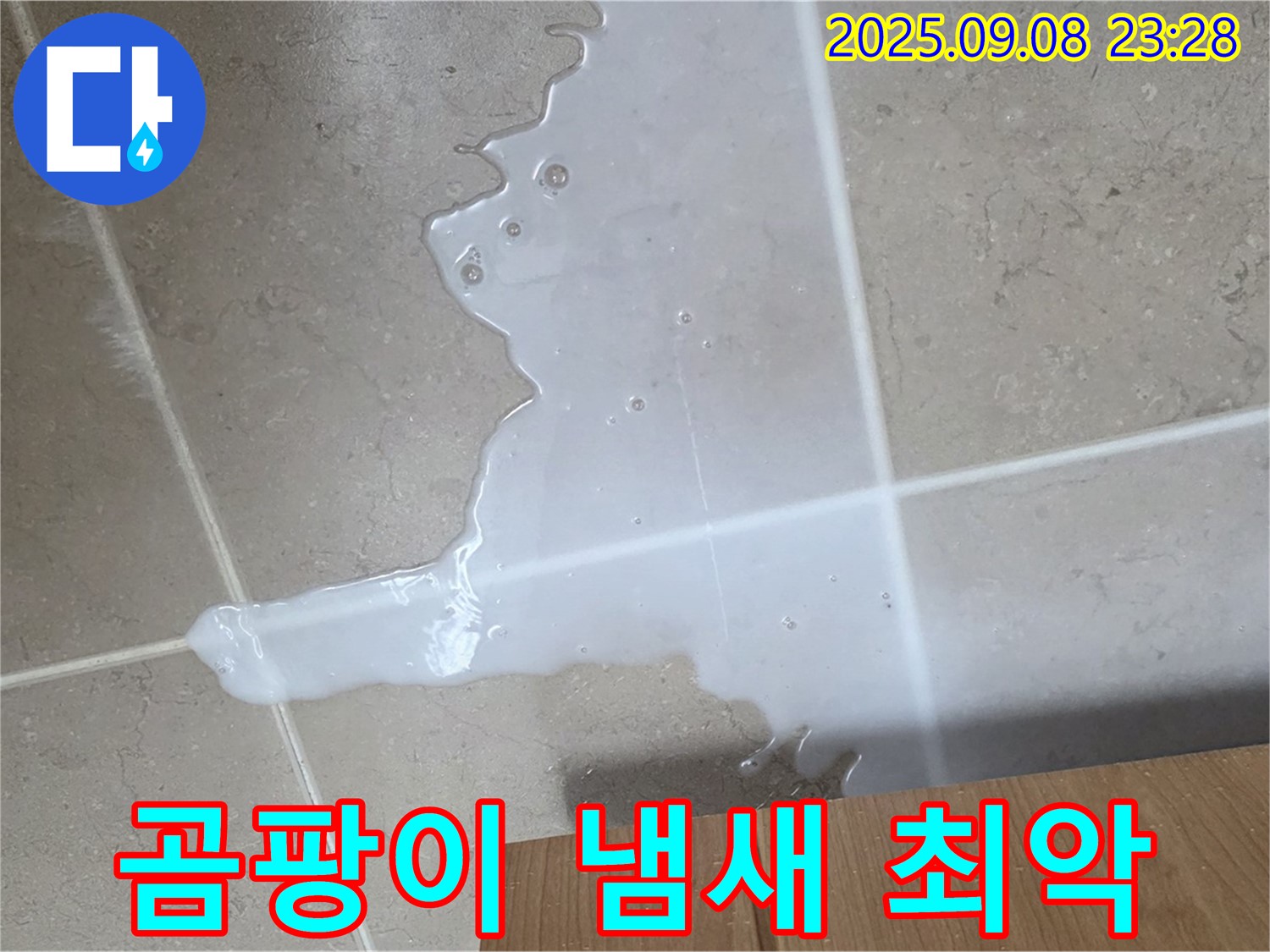포천시 일동면 기산리 - 싱크대 하부장 물, 곰팡이 냄새, 최악의 조합