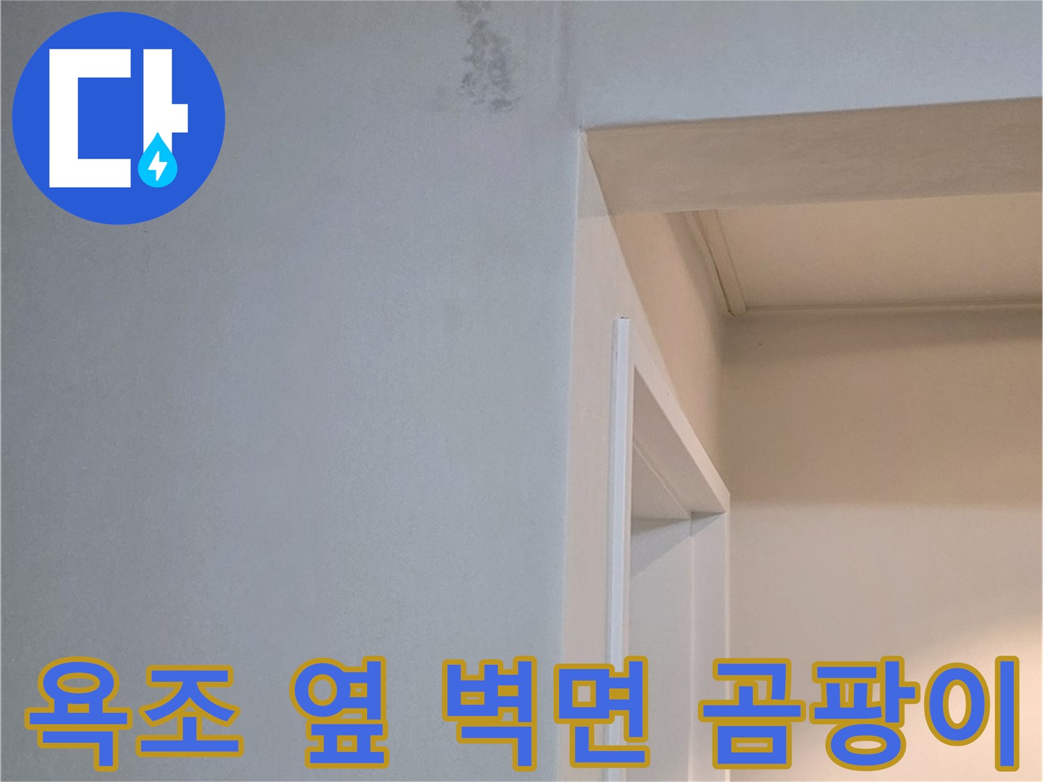 포천시 일동면 기산리 아파트 욕조 옆 벽면 곰팡이 - 건강 위협 및 방치 금지