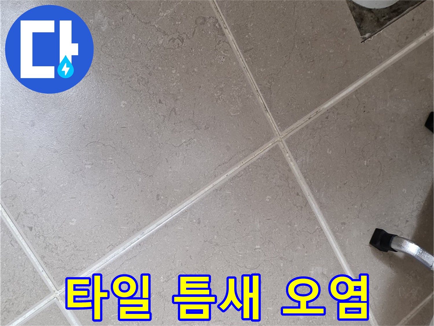 포천시 일동면 기산리 욕실 배수구 주변 타일 틈새 오염 확인 - 곰팡이 발생 가능성이 있습니다.