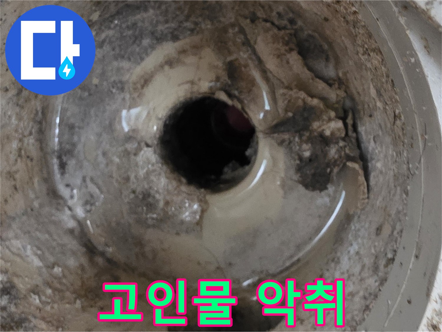 포천시 일동면 기산베스트빌 아파트 - 베란다 배수구 물 고임, 썩는 냄새, 누수 가능성 진단!