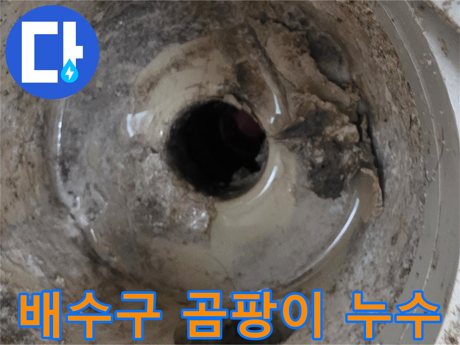 포천시 일동면 기산베스트빌 아파트 - 베란다 배수구 주변 곰팡이 발생, 누수 가능성 진단
