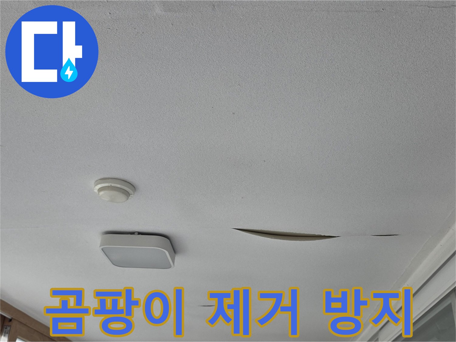 포천시 일동면 아파트 천장 누수 - 석고보드 곰팡이 제거 및 재발 방지 시공