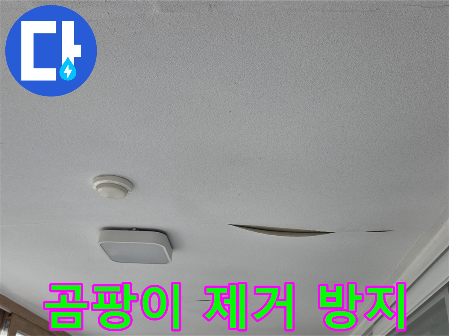 포천시 일동면 아파트 천장 누수 - 석고보드 곰팡이 제거 후 재발 방지 시공