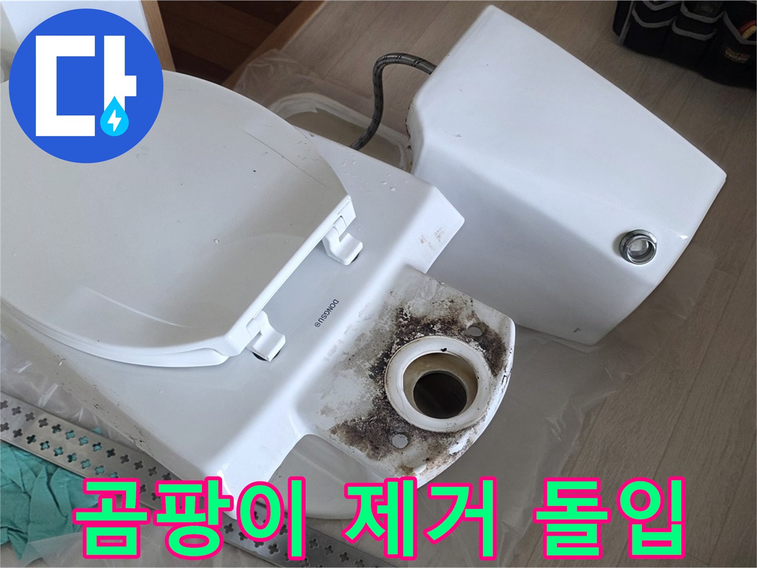 포천시 일동면 운악청계로 1772 - 변기 곰팡이 제거, 강력한 약품 투입!