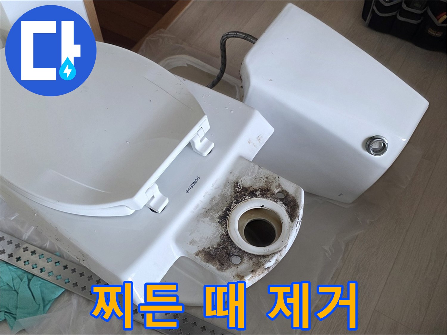 포천시 일동면 운악청계로 기산베스트빌 아파트 - 변기 찌든 때와 곰팡이 완벽 제거 작업 돌입