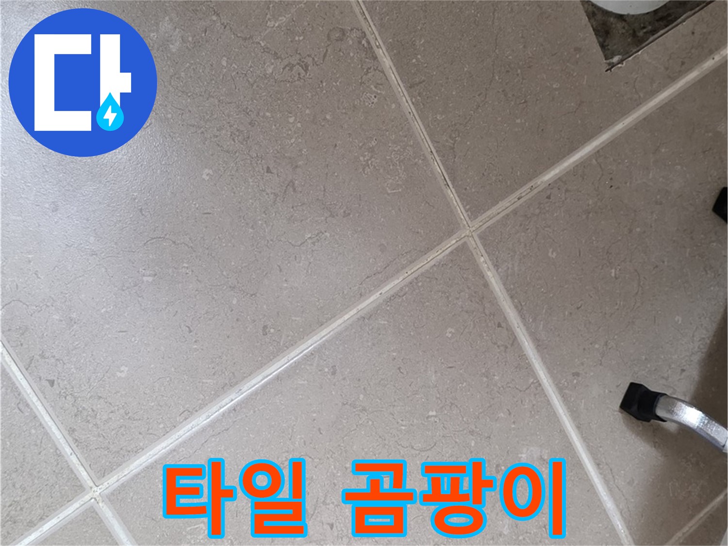 포천시 일동면 운악청계로 욕실 배수구 주변 타일 곰팡이 확인 - 습한 환경이 지속되면 발생합니다.