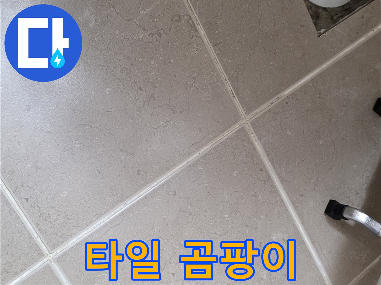 포천시 일동면 운악청계로 욕실 배수구 주변 타일 곰팡이 확인 - 습한 환경이 지속되면 발생합니다.