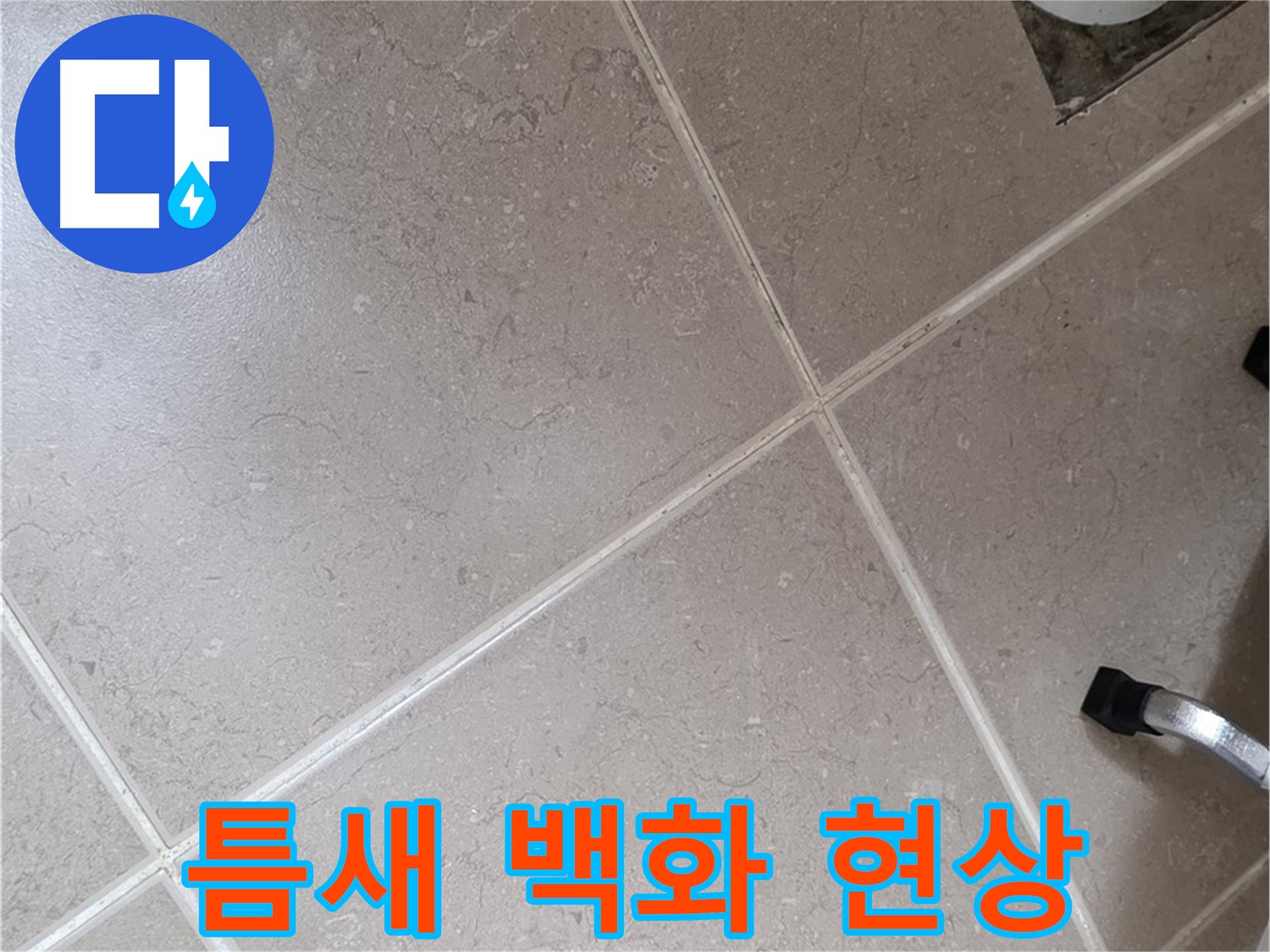 포천시 일동면 운악청계로 욕실 배수구 주변 타일 틈새 백화 현상 - 물이 증발하면서 생긴 자국일 수 있습니다.