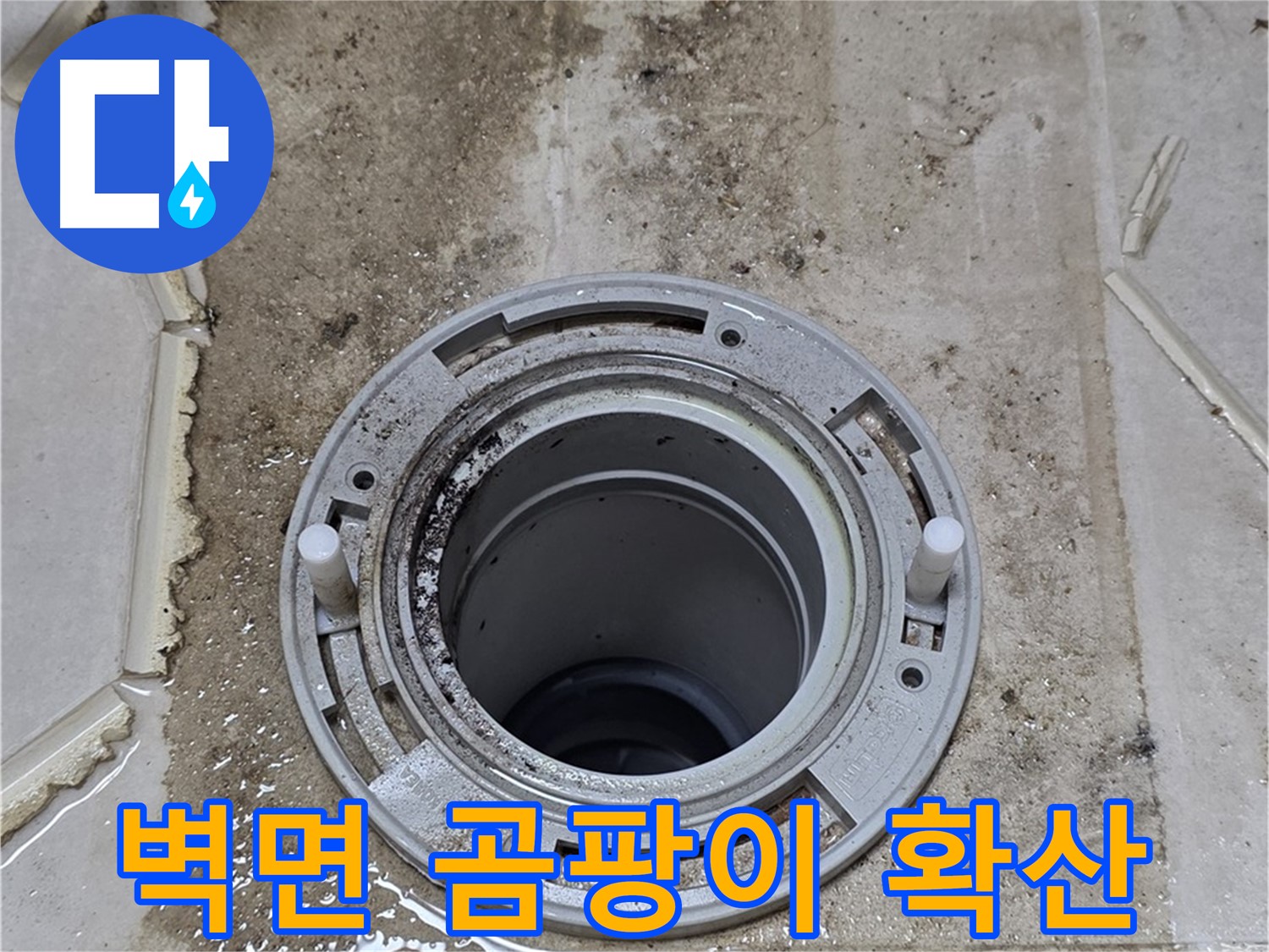 변기 뒤 벽면 - 누수 흔적과 함께 벽지 곰팡이가 확산되고 있습니다.