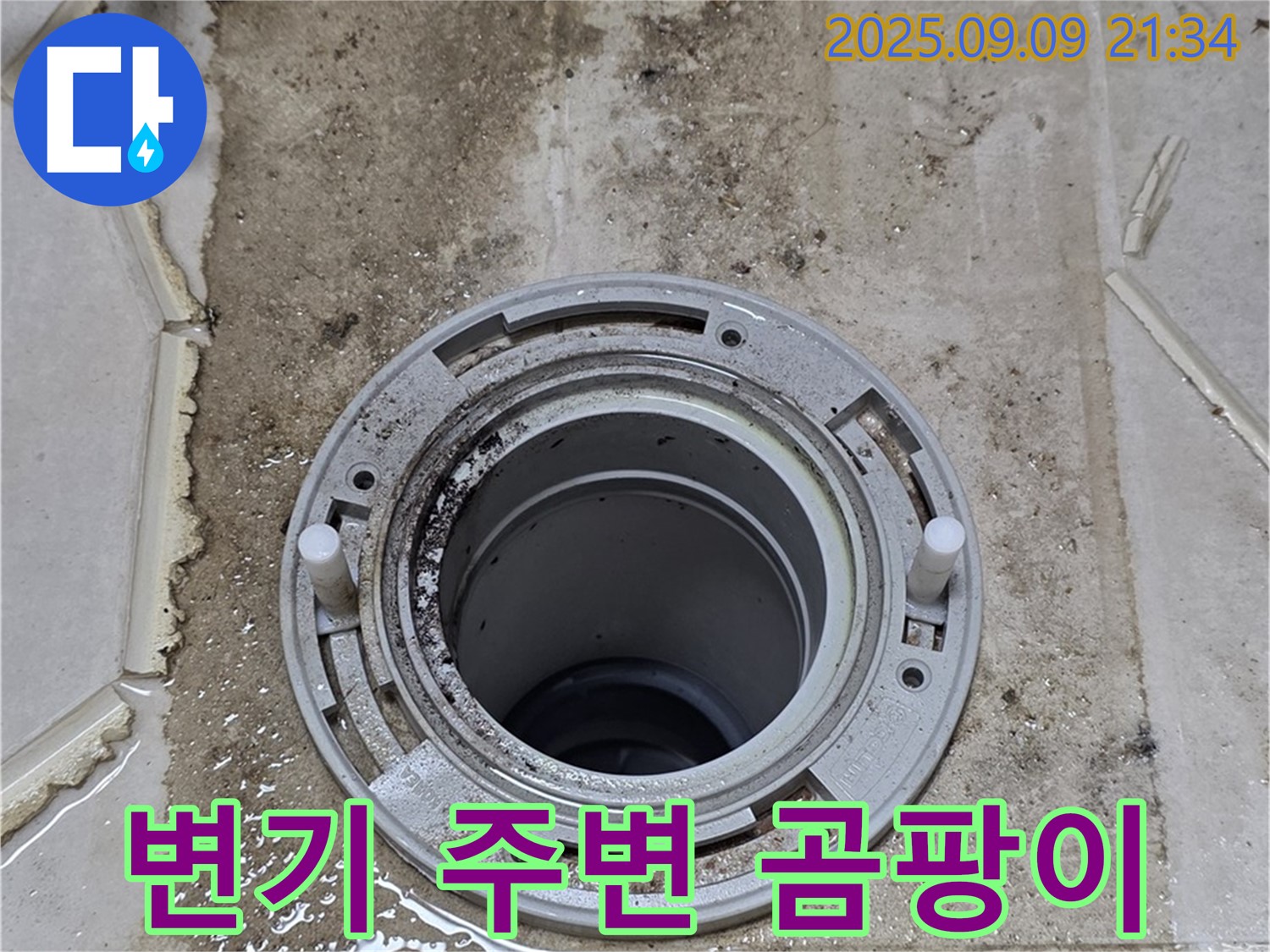 변기 주변 곰팡이 - 변기 주변의 곰팡이