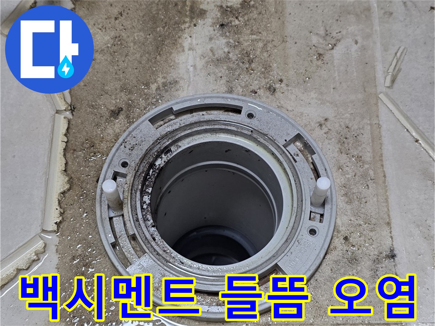 변기 플랜지 주변 백시멘트 - 들뜸과 오염이 심각하여 누수 가능성이 높습니다.