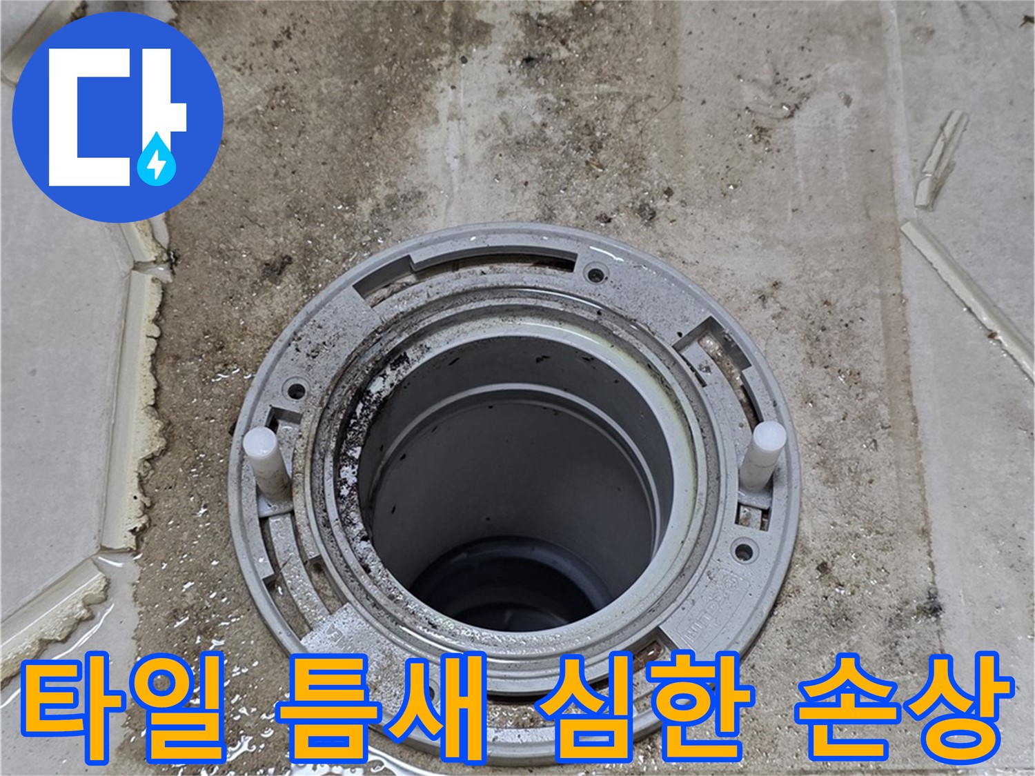 변기 플랜지 주변 타일 틈새 - 오염과 함께 손상이 심각합니다.