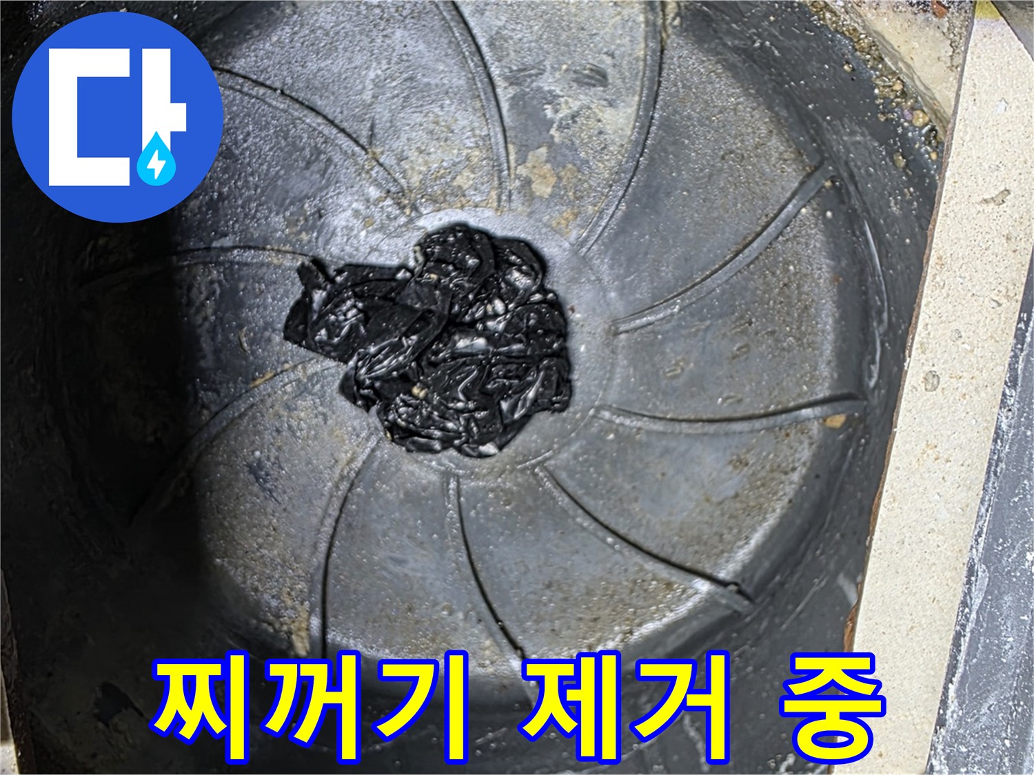 세탁기 배수구 - 검은 찌꺼기 제거 작전 개시!