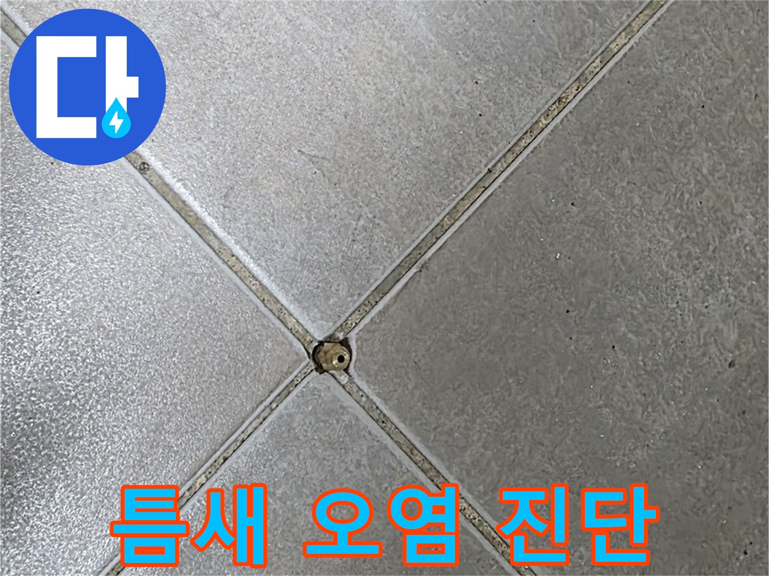 양주 옥정 율정마을 13단지 아파트 타일 틈새 오염 - 초기 진단으로 누수 걱정 이제 끝!