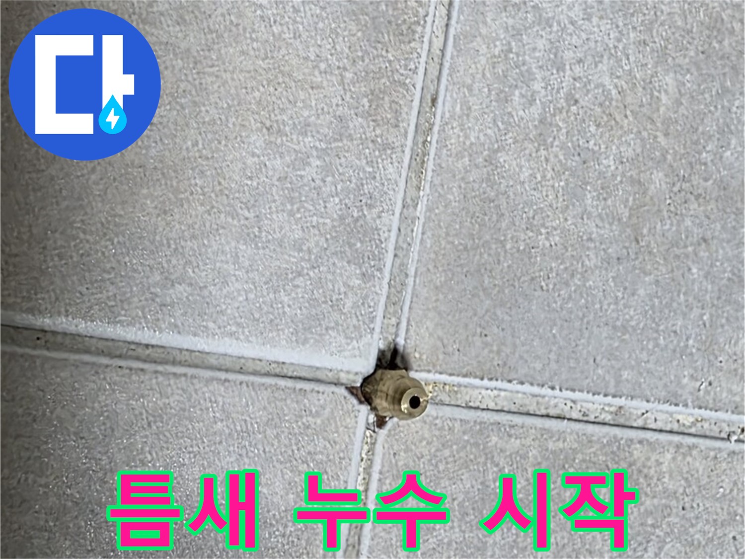 양주 옥정 율정마을 아파트 누수 - 누수, 설마 타일 틈새 작은 구멍에서 시작될 수 있다?!