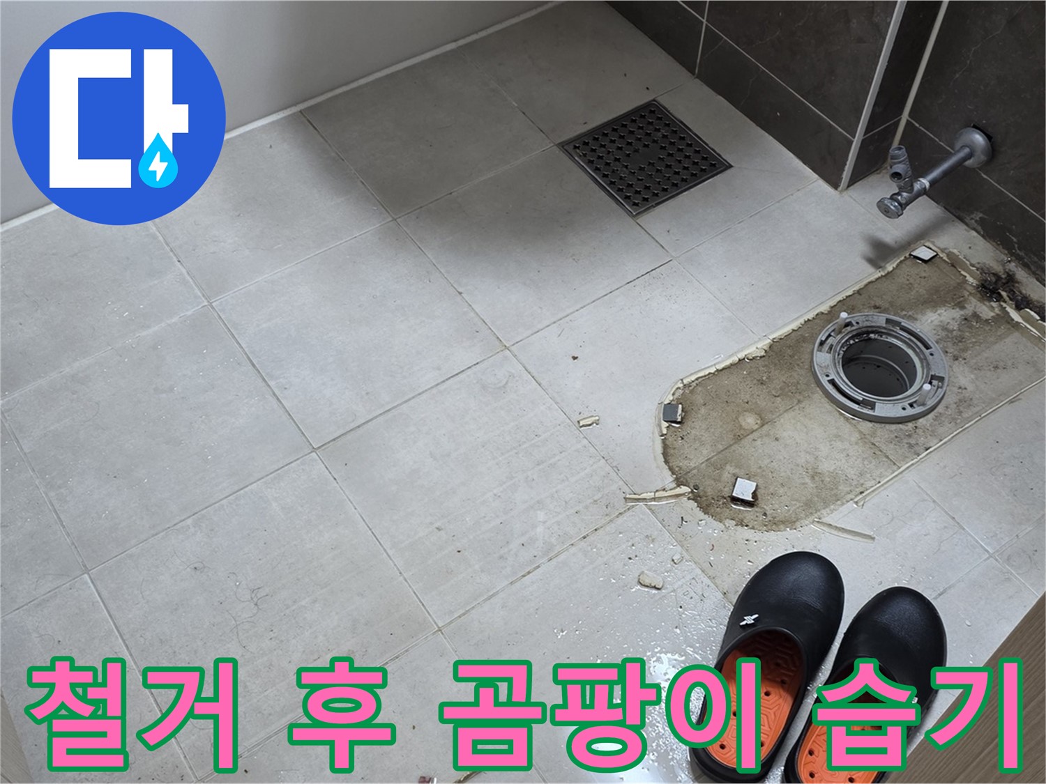 양주 옥정 율정마을 아파트 변기 누수 - 변기 철거 후 바닥의 곰팡이와 습기 상태를 확인합니다.