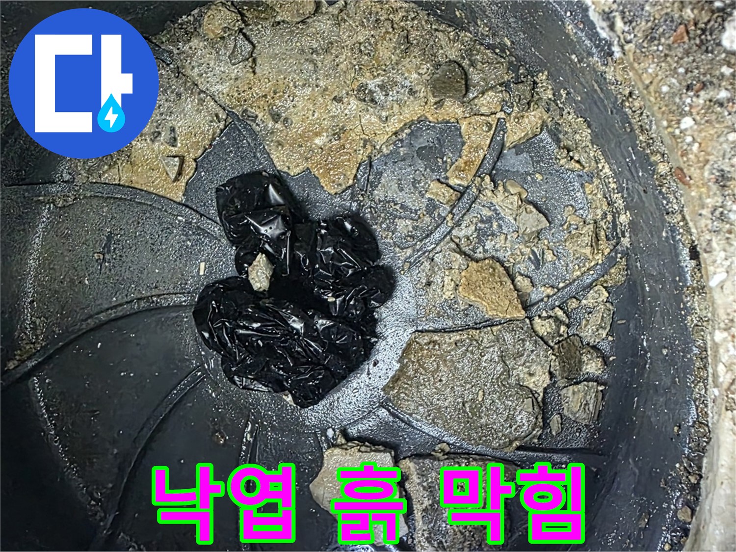 양주 옥정 율정마을 아파트 - 빗물받이를 꽉 막은 낙엽과 흙의 환상적인 조합!