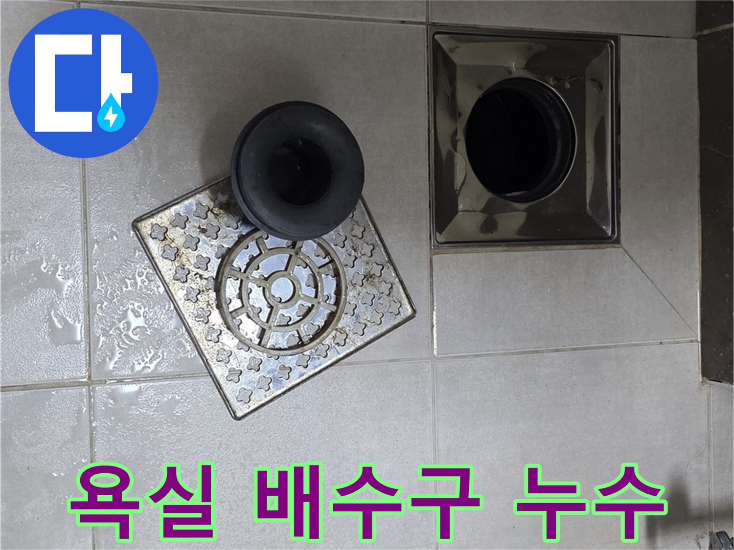 양주 옥정 율정마을 아파트 욕실 배수구 누수 문제 해결 과정 - 누수 원인 탐지와 꼼꼼한 수리