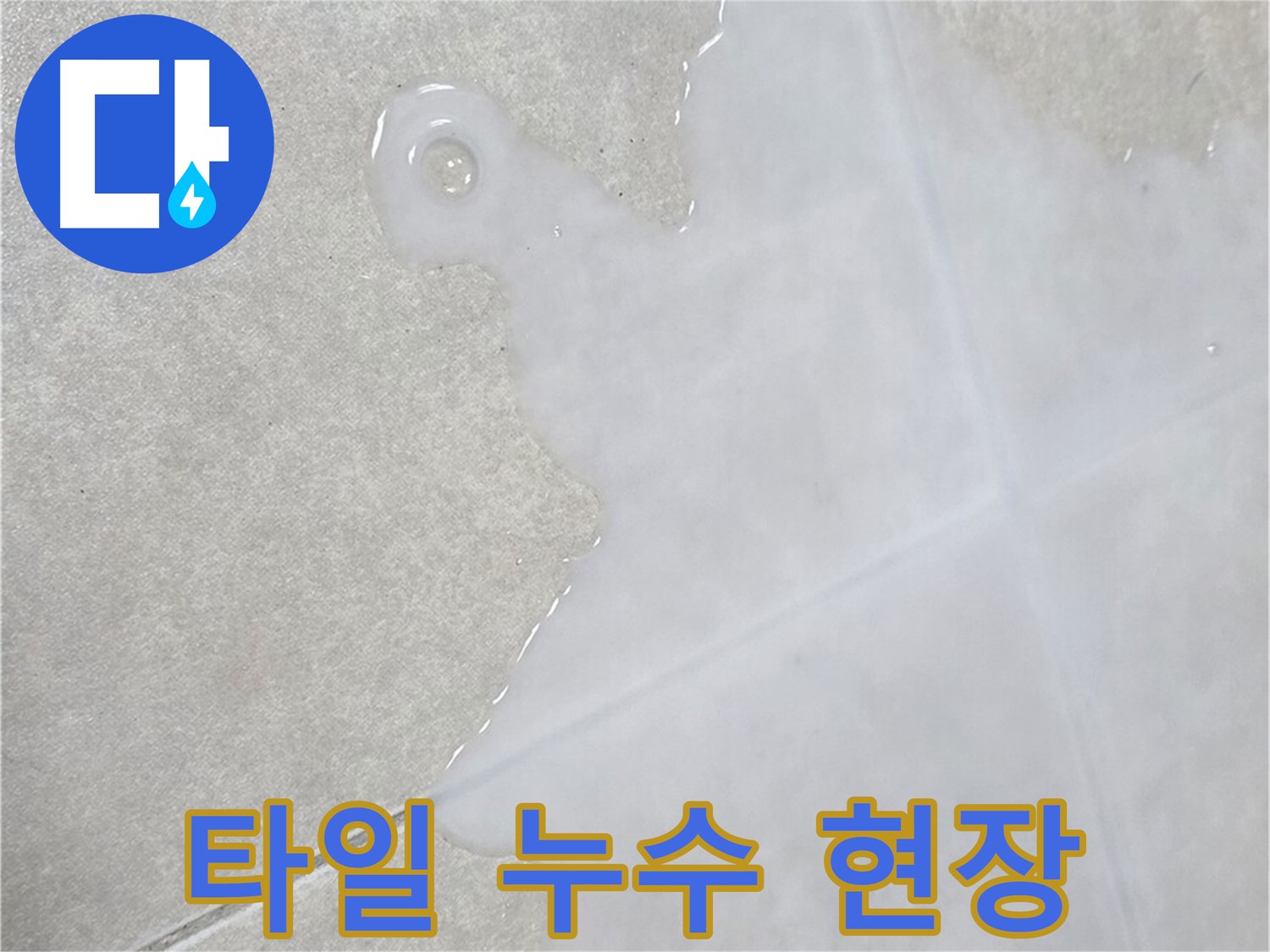 양주 옥정 율정마을 아파트 타일 사이 누수 발생 - 누수탐지 후 정확한 원인 파악 및 해결