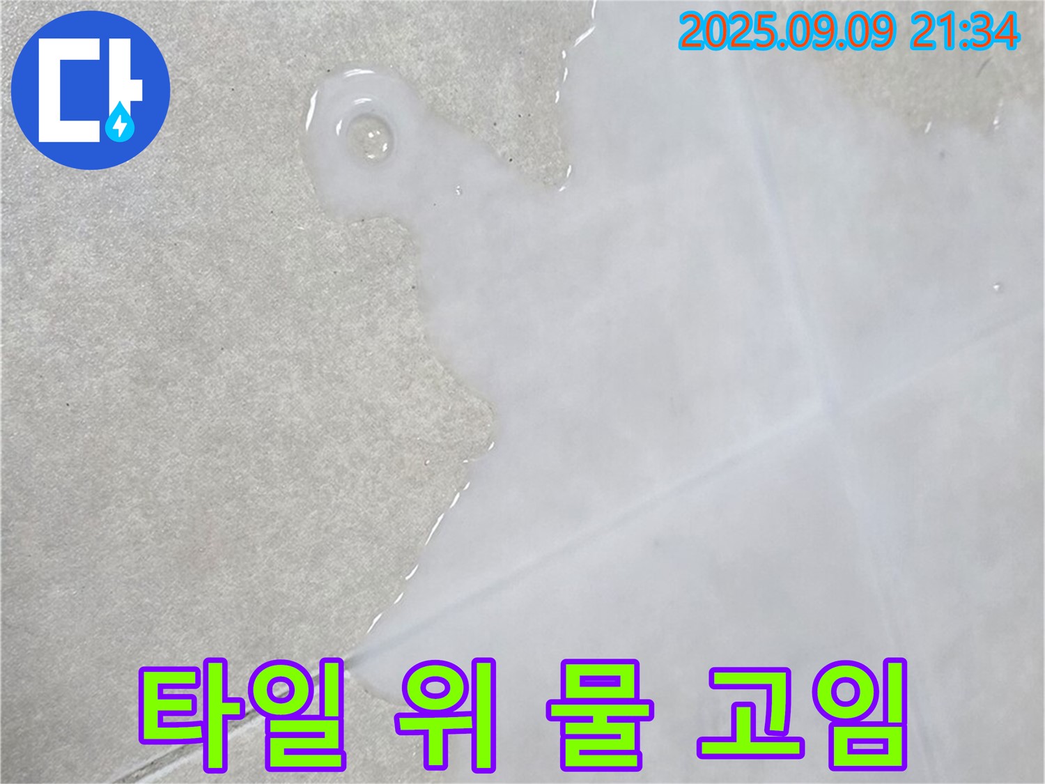 양주 옥정 율정마을 아파트 타일 위 물 고임 - 누수 방치 금지, 빠른 해결