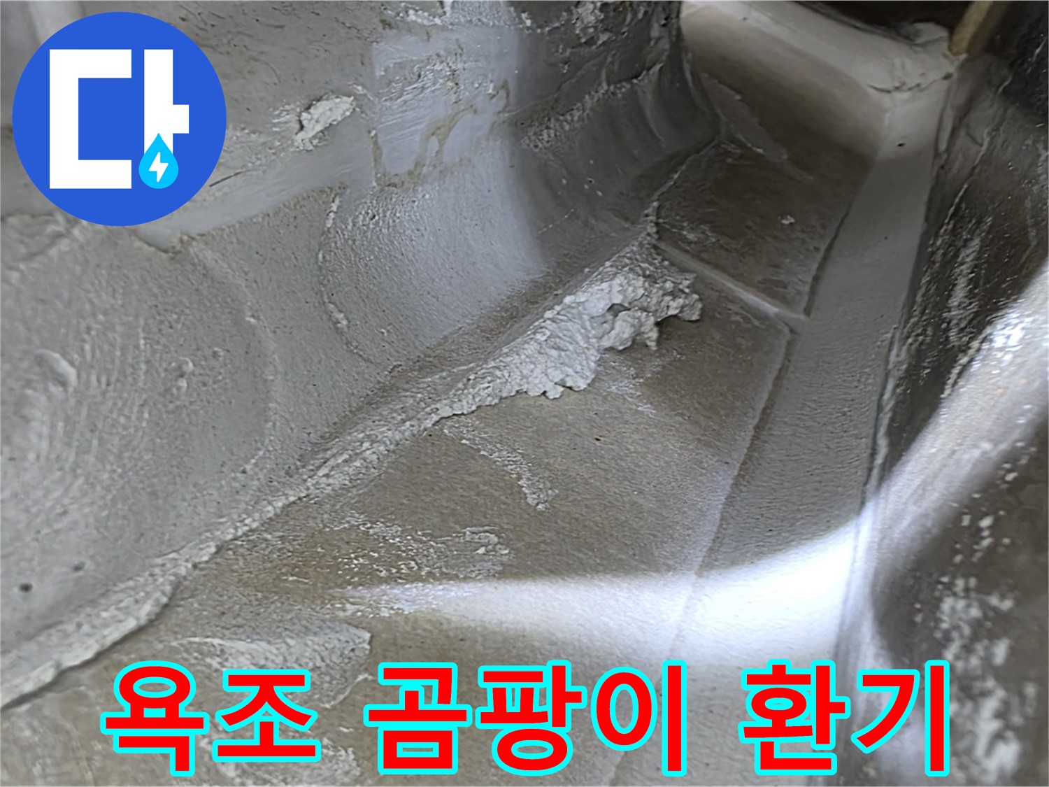 양주 옥정 율정마을 욕조 곰팡이 누수 - 환기 불량이 곰팡이와 누수의 원인이 될 수 있습니다.