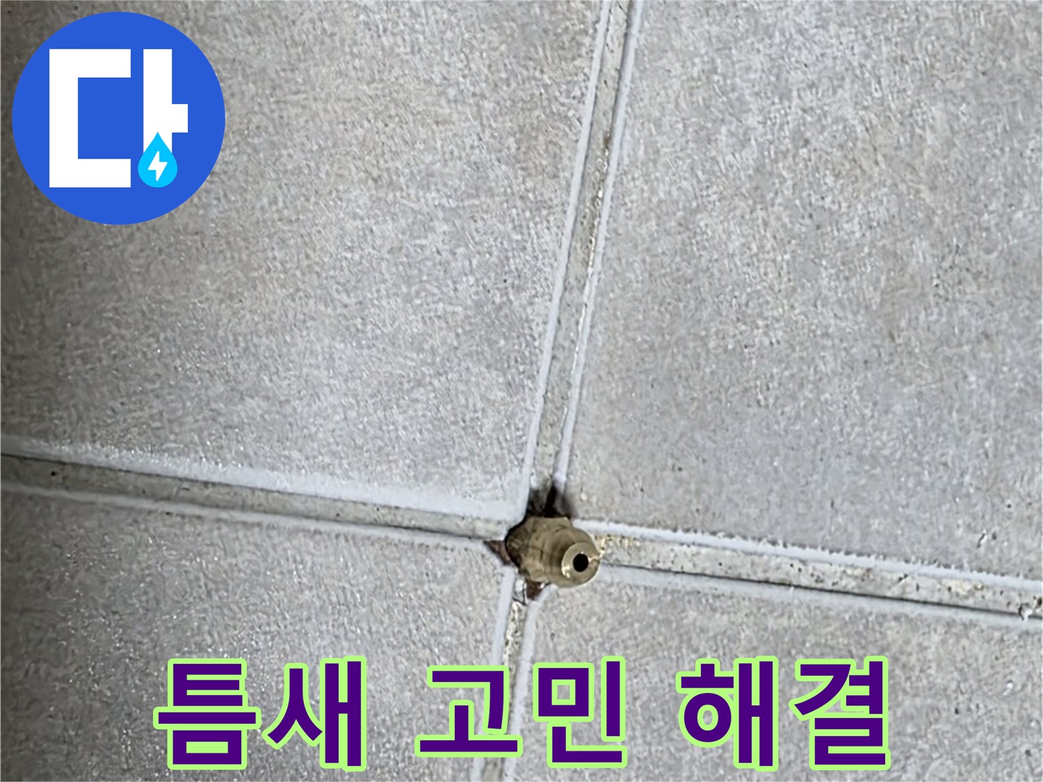 양주 옥정동 율정마을 아파트 누수 - 타일 틈새 구멍으로 인한 누수 문제, 더 이상 고민하지 마세요!