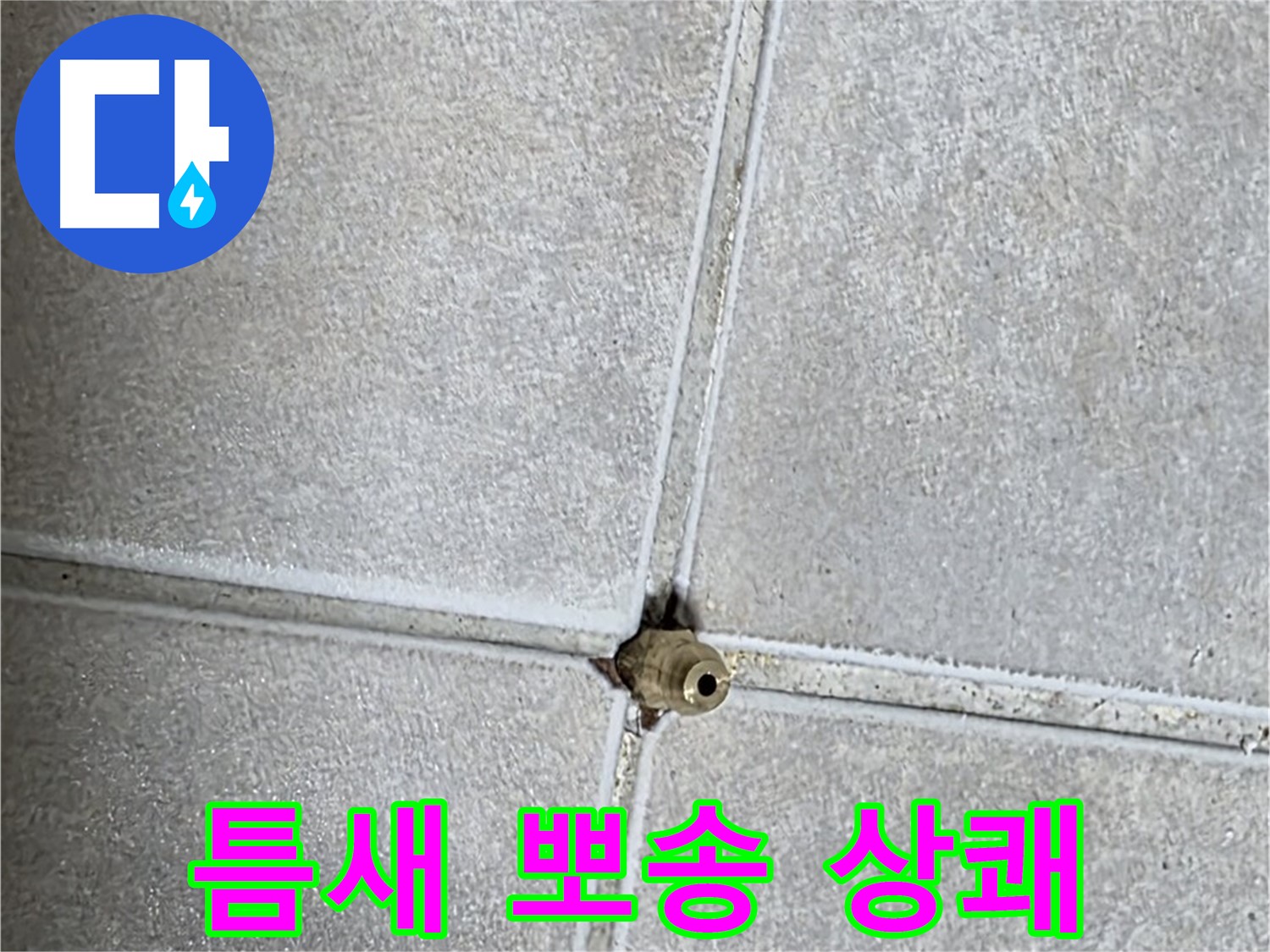 양주 옥정동 율정마을 아파트 누수 - 타일 틈새 누수, 완벽하게 해결하고 뽀송뽀송한 욕실에서 상쾌한 하루를 시작하세요!