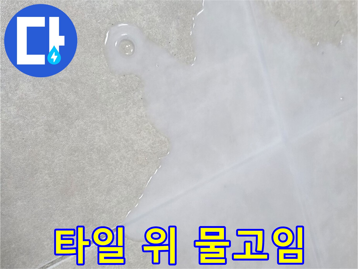 양주 옥정동 율정마을13단지 아파트 타일 위 물 고임 - 긴급 누수 점검 필요