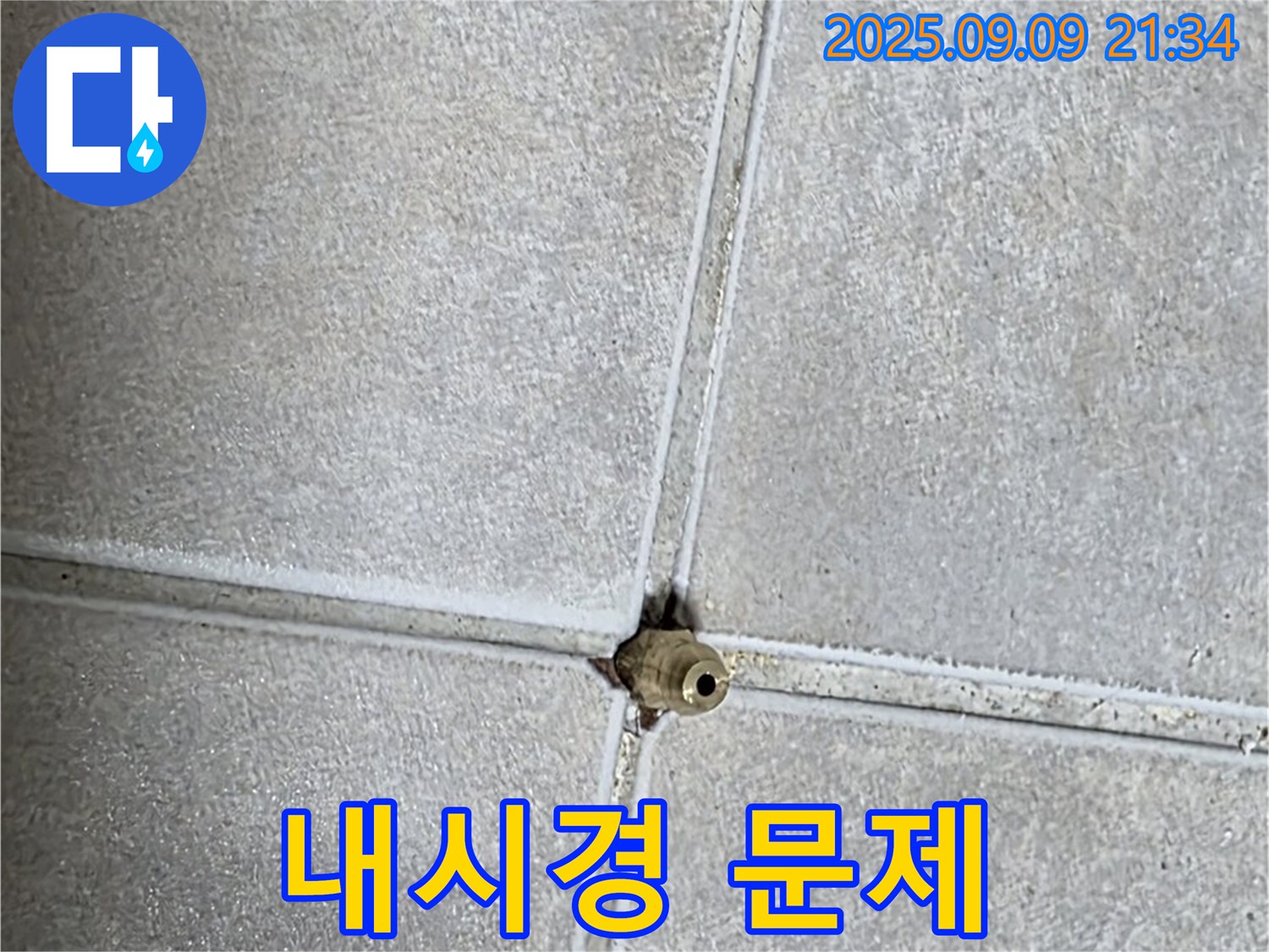 양주 율정마을 아파트 누수 - 내시경 검사, 숨겨진 문제 발견