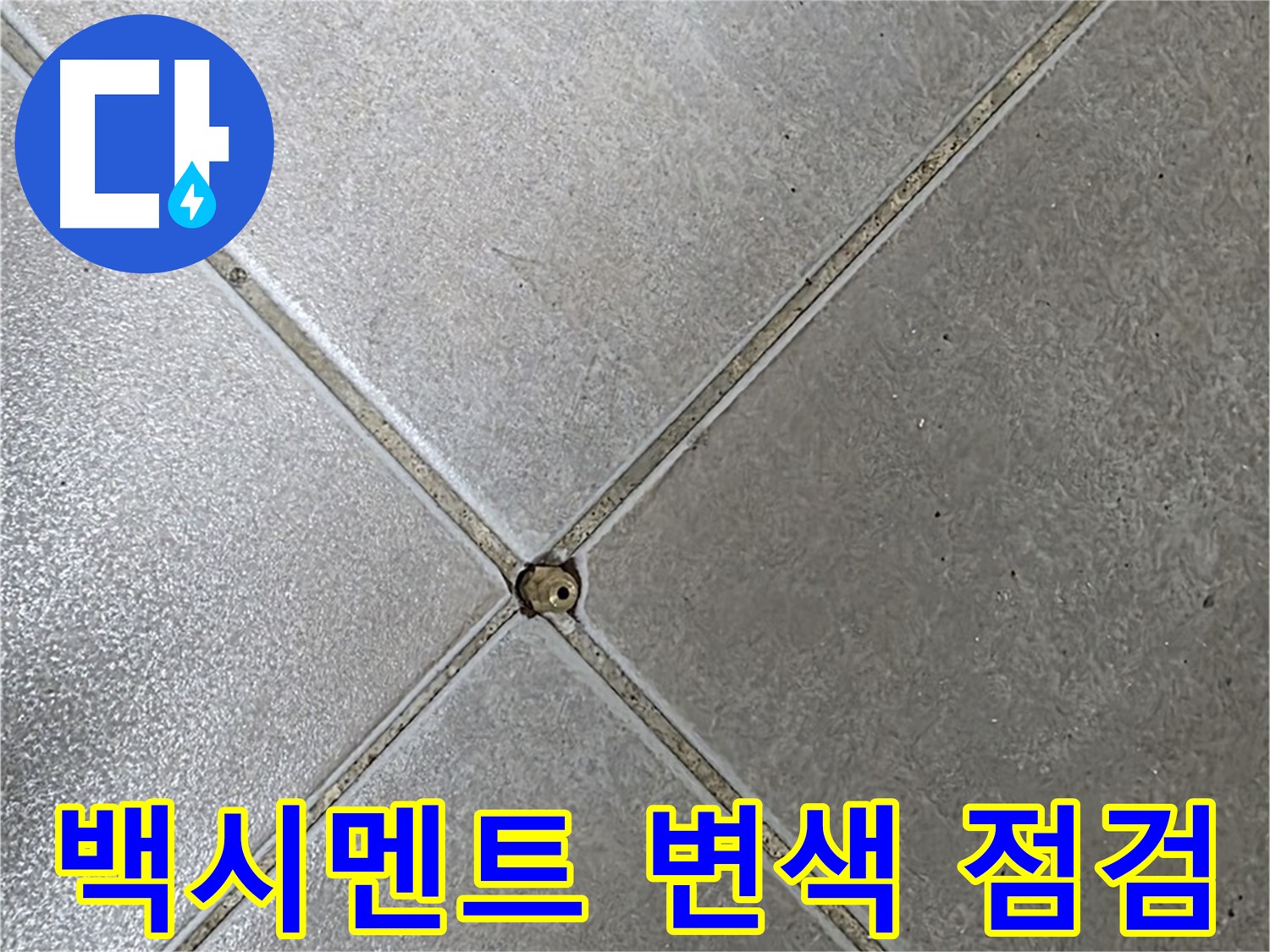 양주시 옥정동 율정마을 13단지 아파트 타일 틈새 백시멘트 변색 - 초기 점검 모습입니다.