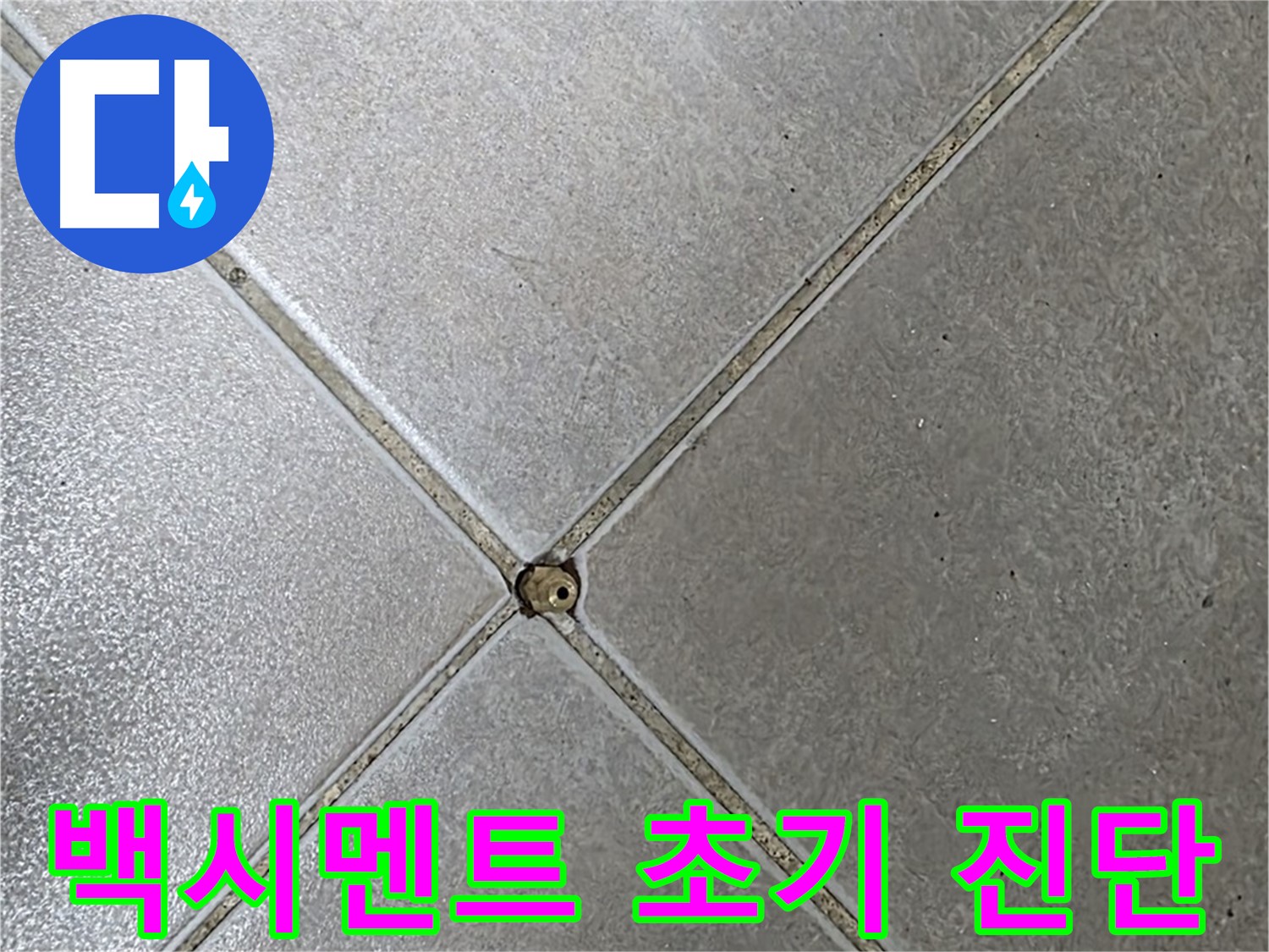 양주시 옥정동 율정마을 13단지 아파트 타일 틈새 백시멘트 - 전문가의 초기 진단 모습입니다.