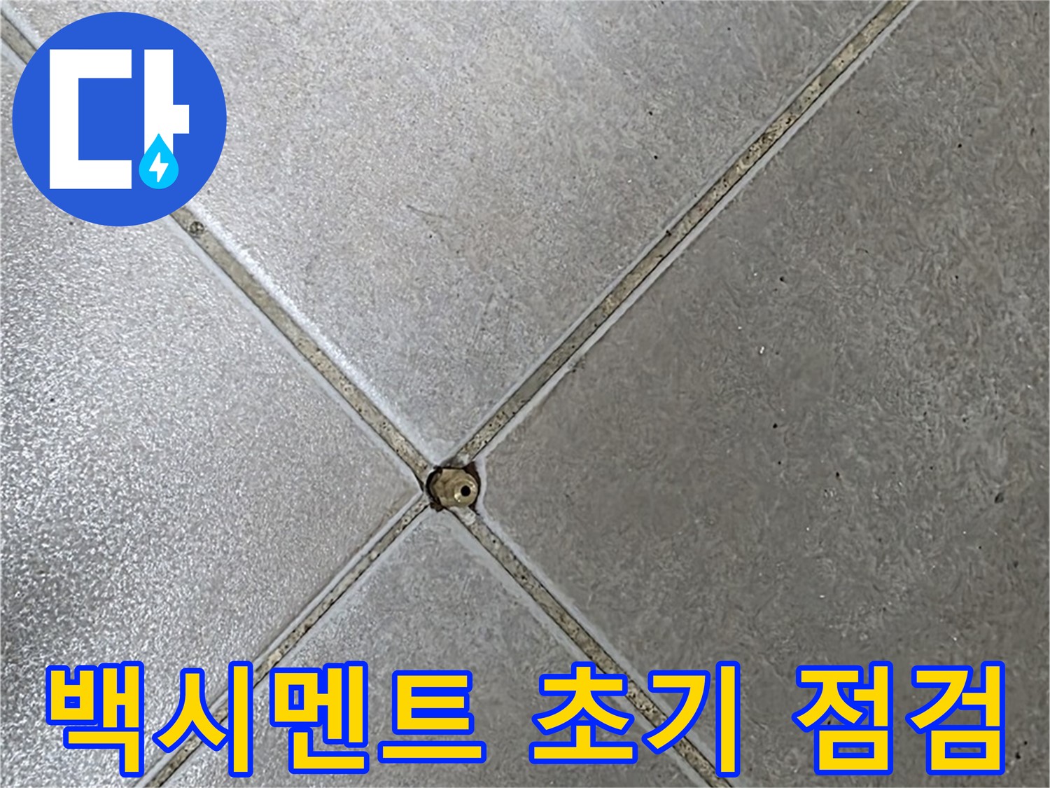 양주시 옥정동 율정마을 13단지 아파트 타일 틈새 백시멘트 - 초기 점검 과정입니다.