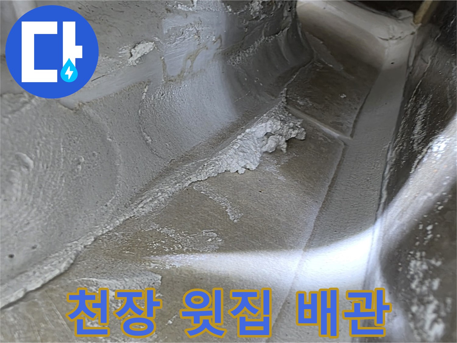옥정 율정마을 13단지 아파트 천장 누수 - 윗집 배관 문제로 인한 누수 가능성을 의심합니다.