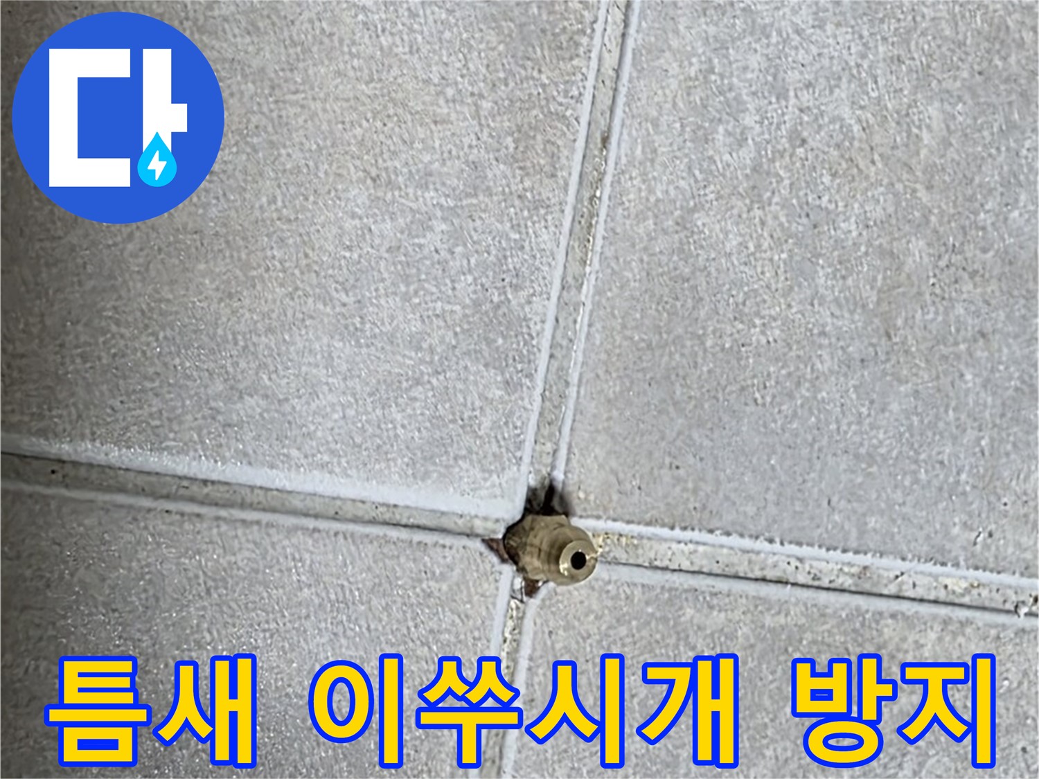 옥정 율정마을 아파트 누수 - 타일 틈새, 이쑤시개 하나 들어갈 틈도 용납하지 않는 완벽 시공!