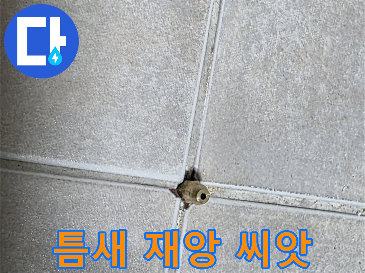 옥정 율정마을 아파트 누수 - 타일 틈새의 작은 구멍 하나가 재앙의 씨앗이 될 수 있다는 사실, 알고 계셨나요?