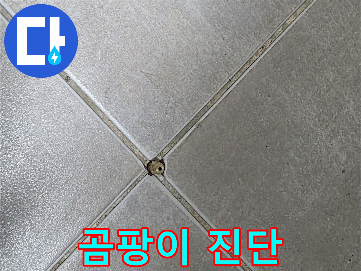 옥정 율정마을 아파트 타일 틈새 곰팡이 - 누수 전문가가 정확하게 진단해 드립니다.