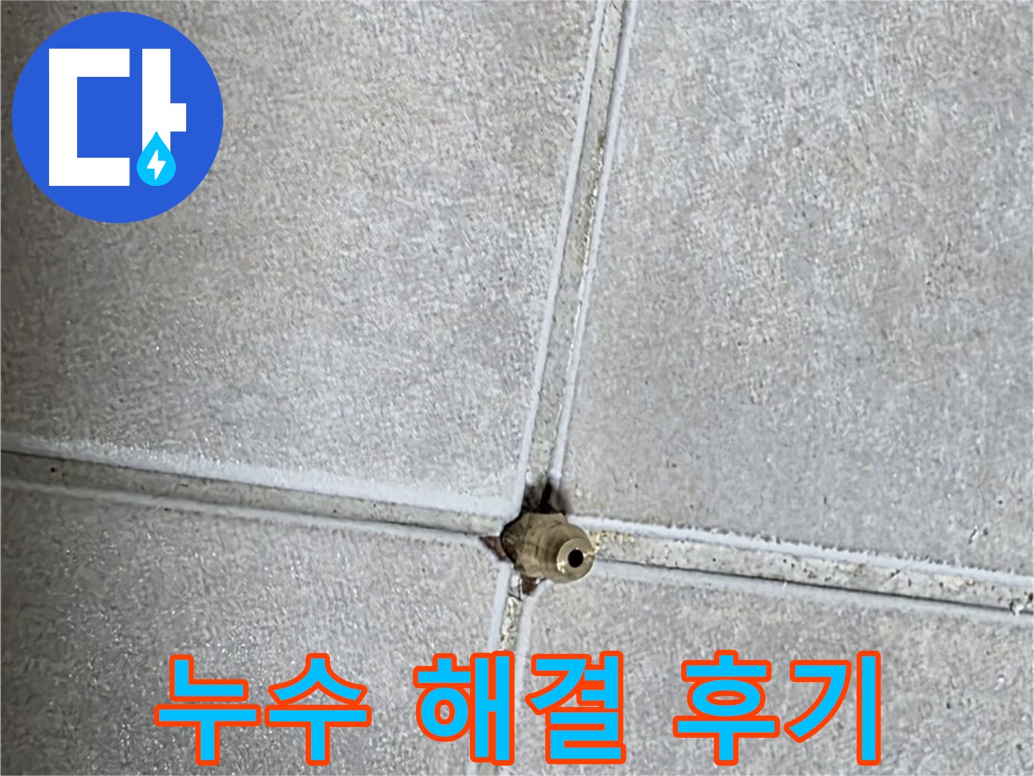 옥정 율정마을 아파트 타일 틈새 누수 - 완벽하게 해결된 후기를 확인하세요!