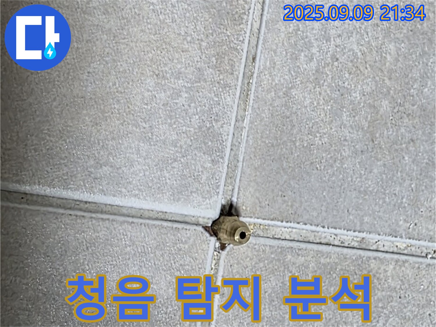 옥정동 율정마을 아파트 누수 - 청음 탐지, 누수 위치 정밀 분석