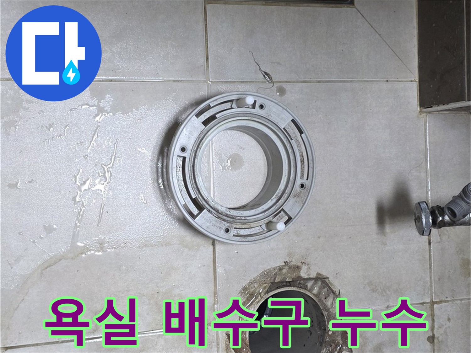 옥정동 율정마을 아파트 욕실 배수구 주변 누수 - 누수 문제 해결 전문가의 완벽 해결