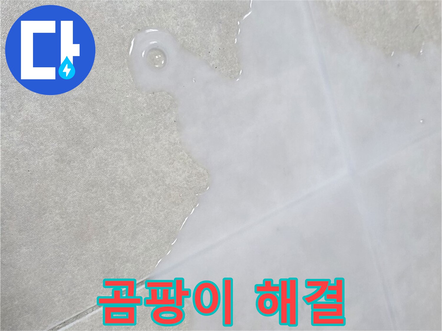 옥정신도시 율정마을 아파트 타일 위 백시멘트 곰팡이 - 누수 전문가가 해결