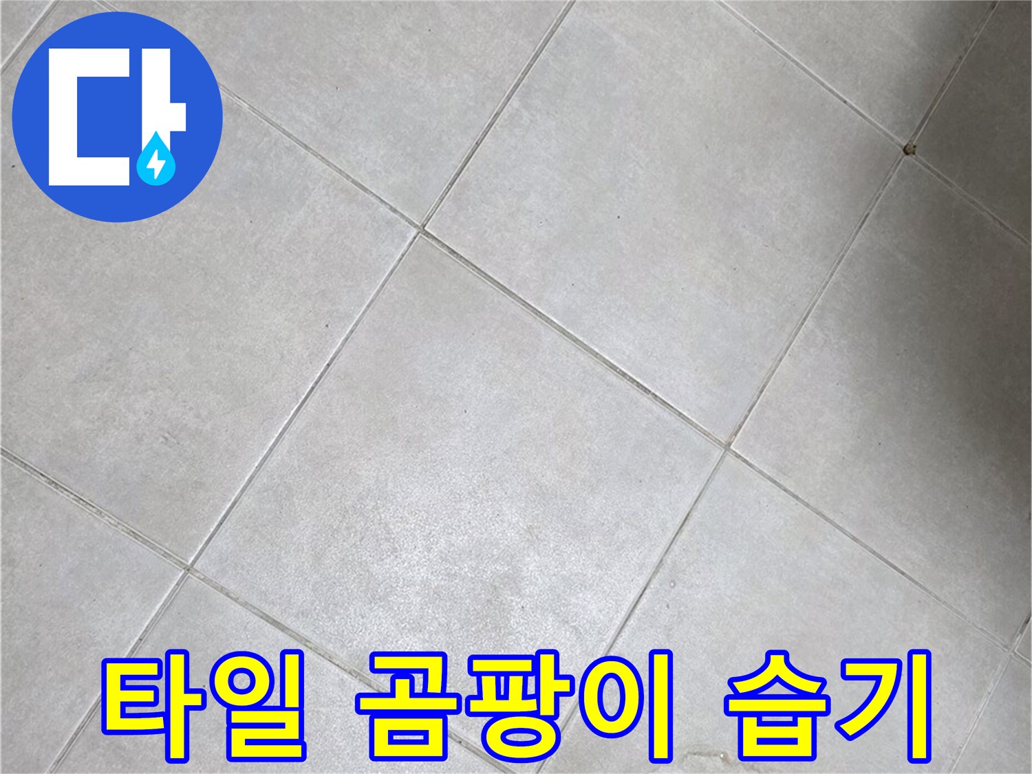 욕실 타일 곰팡이 - 지속적인 습기 & 누수 가능성