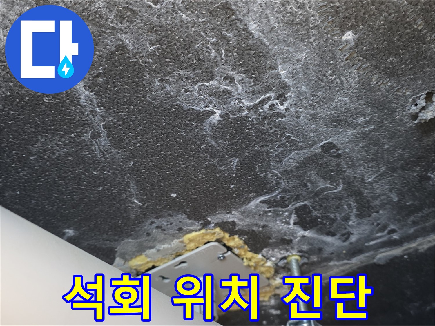 동패동 아파트 누수 - 천장 누수 석회 발생 위치 정밀 진단 중