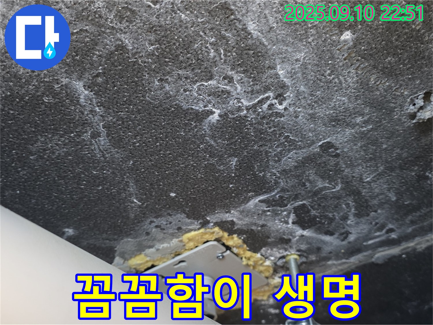 석회와 곰팡이 제거 작업을 진행 중인 천장 사진 - 꼼꼼하게 석회와 곰팡이를 제거하고 있습니다.
