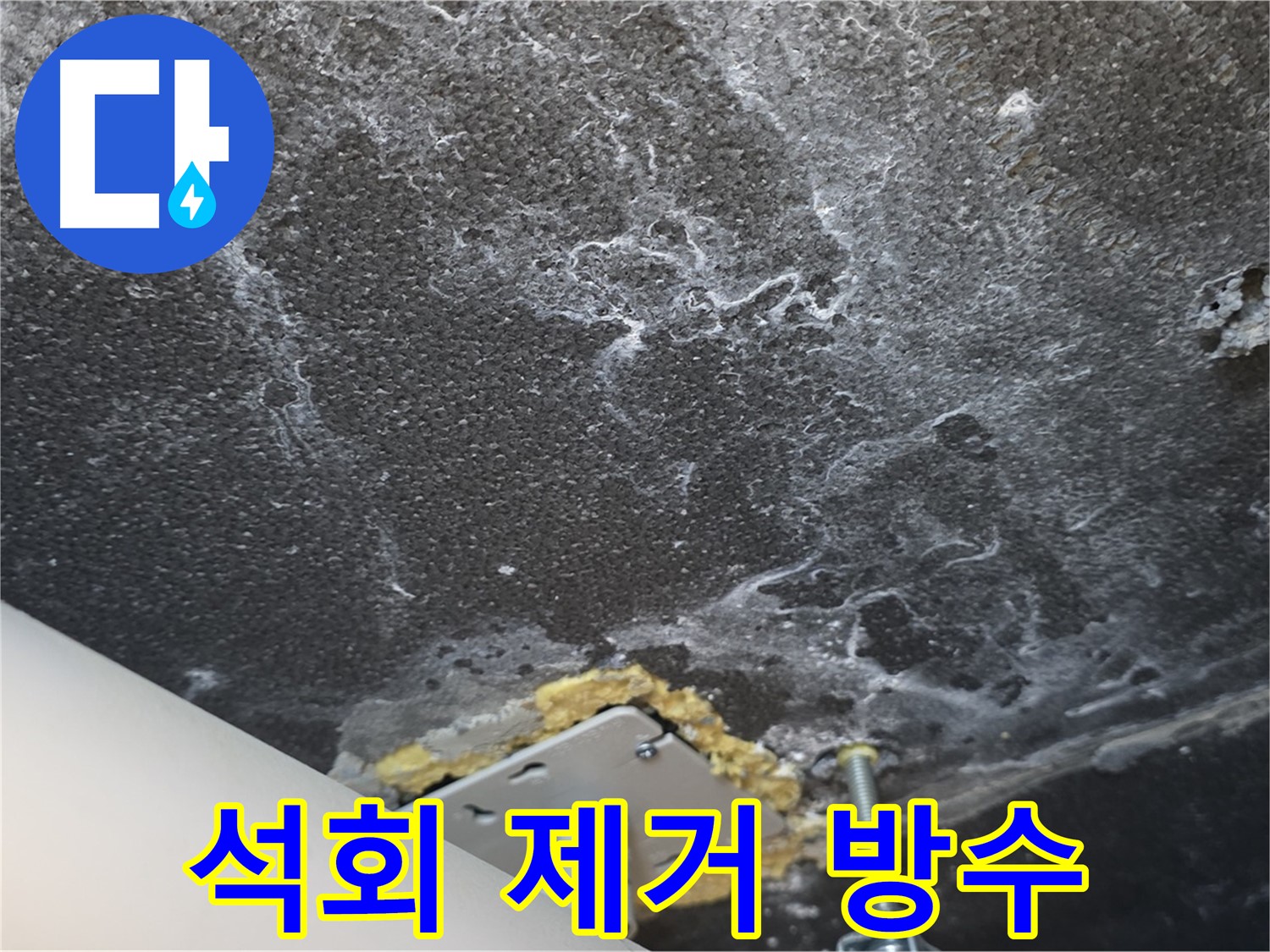 운정 어반프라임 누수 - 천장 석회 제거 및 완벽 방수 공사 준비