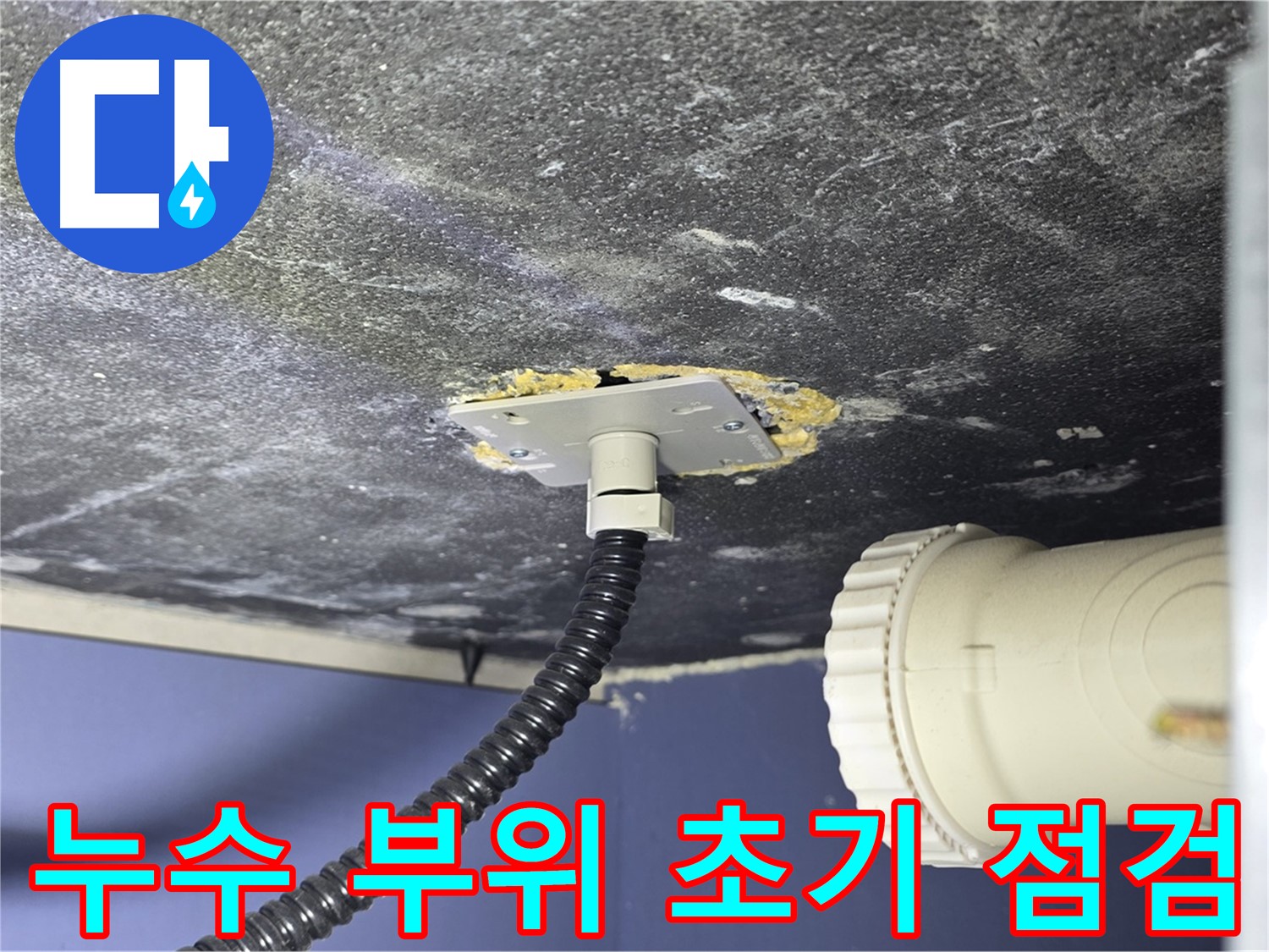 운정어반프라임 세탁실 누수 - 누수 부위를 초기 점검하여 원인 파악