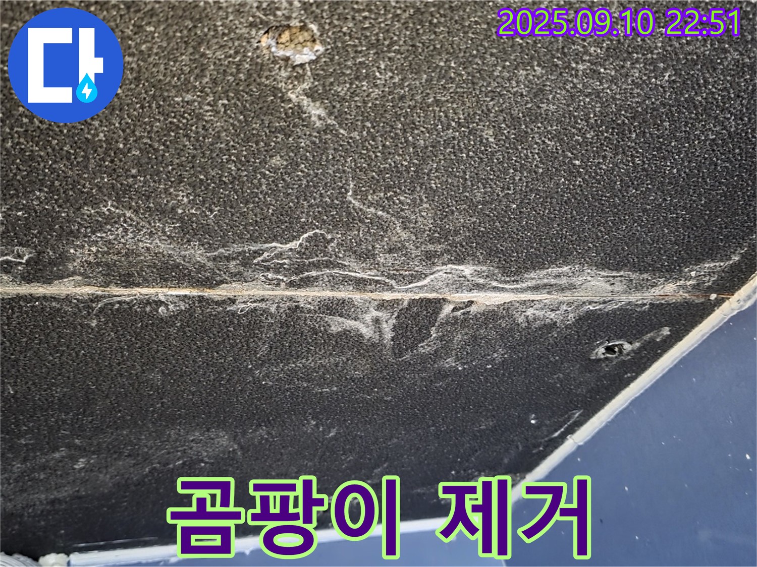 운정어반프라임 아파트 천장 누수 - 누수 해결과 함께 곰팡이 제거까지 책임집니다.