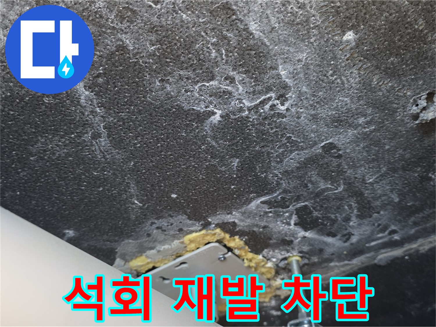 운정어반프라임 천장 누수 - 석회 재발 완벽 차단 솔루션 제공